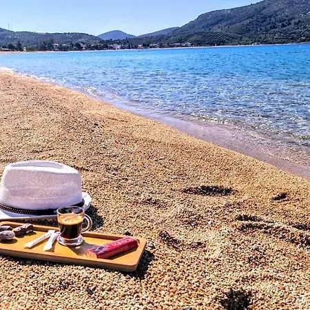 Irini&stefanos Toroni, Greece